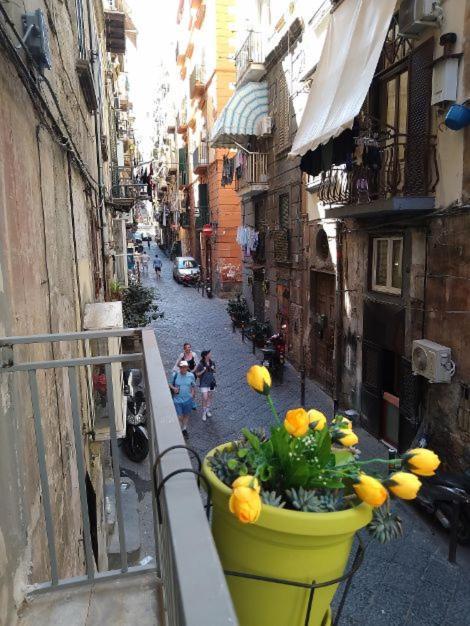 La Conchiglia Napoli Apartment Екстериор снимка
