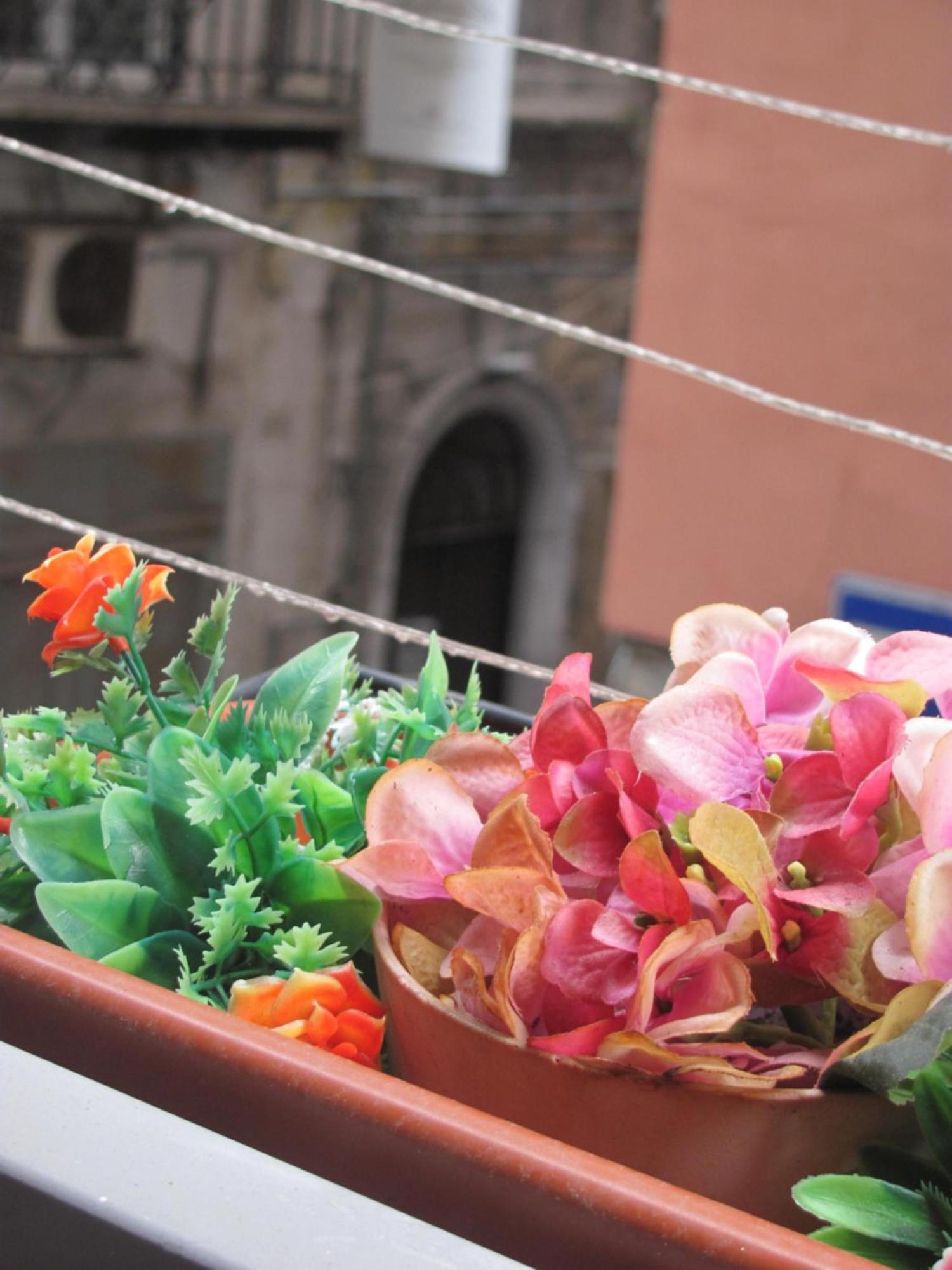 La Conchiglia Napoli Apartment Екстериор снимка
